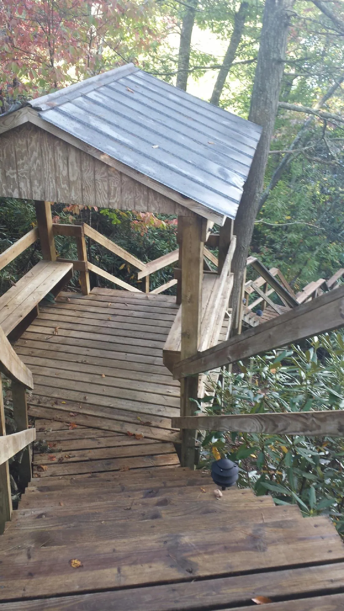 Metal roofed shelter over wooden steps on a wooded walkway — Skylight Repair & Installation work by our crew in Thurston