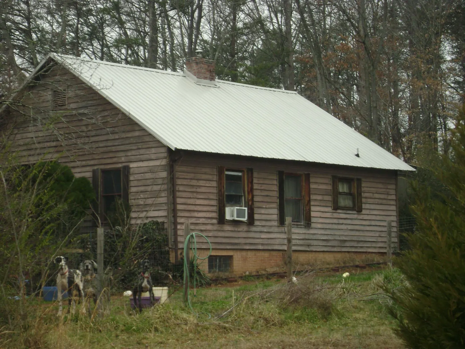 White metal roof on an old wood sided farmhouse, from a Asphalt Shingle Roof Repair job in Thurston